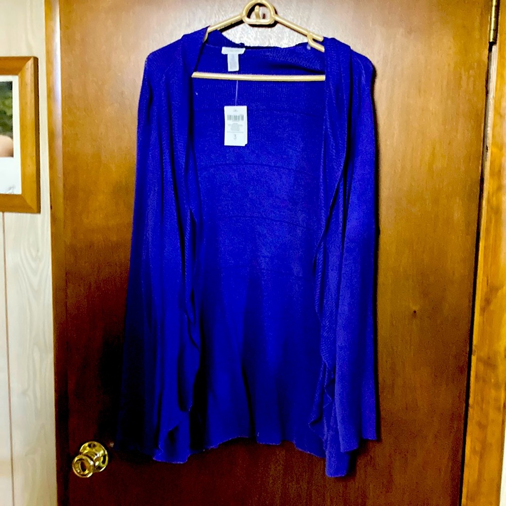 Woman’s size 3 Chico purple ruffle sweater